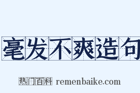 毫发不爽造句是什么意思的图片